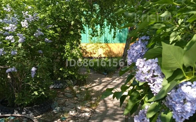 3-комнатный дом, 66 м², 16 сот., Алтай 8 Самарское - изображение 7