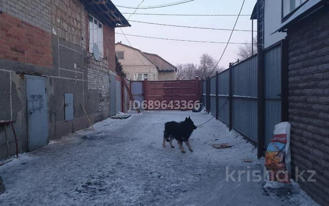5-комнатный дом, 180 м², 5 сот., Дерова 16 Павлодар - изображение 3