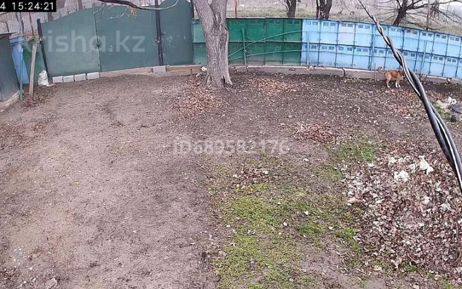 3-комнатный дом, 150 м², 6.04 сот., Ногайбаева Талгар - изображение 2