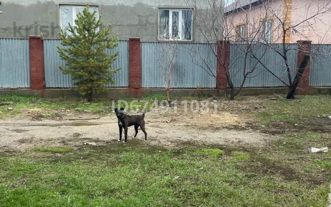 4-комнатный дом, 104 м², 10 сот., Мерей  - photo 6