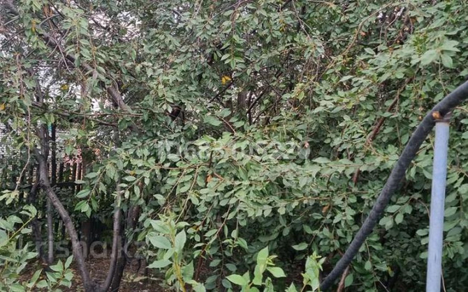 4-комнатный дом, 70.5 м², 0.0546 сот., Челюскина Karagandy - photo 8