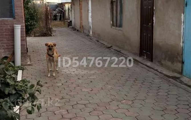 4-комнатный дом, 115 м², 10 сот., улица Сарыарка 15 Талапкер - изображение 3