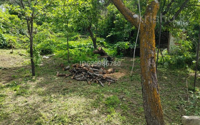 1-комнатный дом, 25 м², 7.2 сот., 11 линия Esik - photo 7