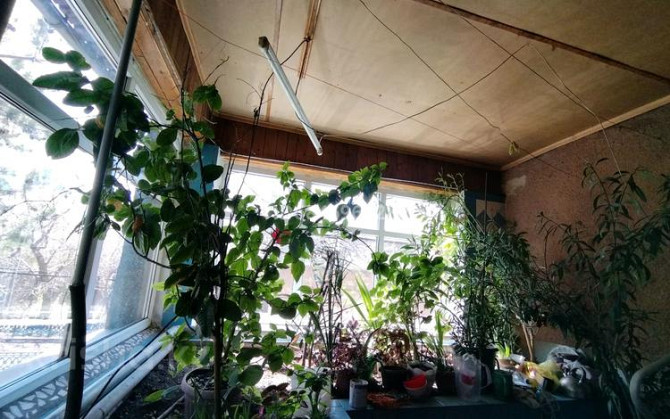 6-комнатный дом, 110 м², 6 сот., Дзержинского 34  - изображение 7