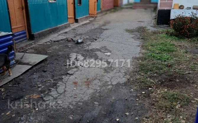 4-комнатный дом, 100 м², 12 сот., Алтайская 44  - изображение 8