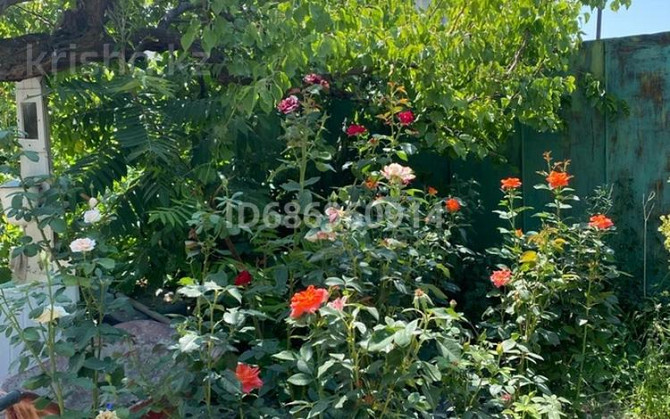 5-комнатный дом, 150 м², 7 сот., Бастау - Алматинская  - photo 3