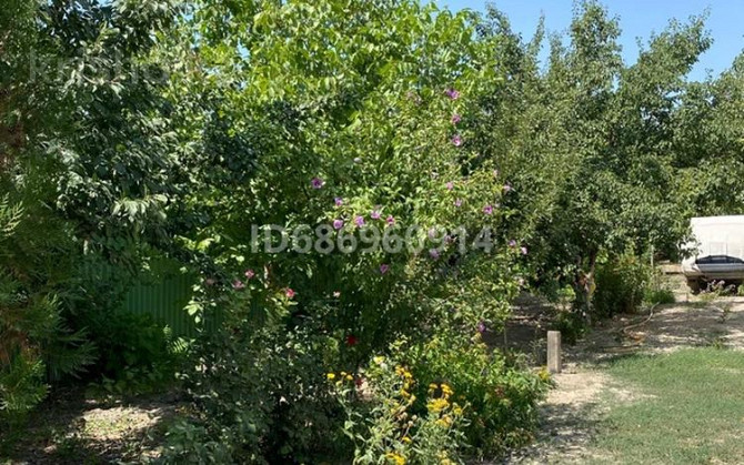 5-комнатный дом, 150 м², 7 сот., Бастау - Алматинская  - photo 4