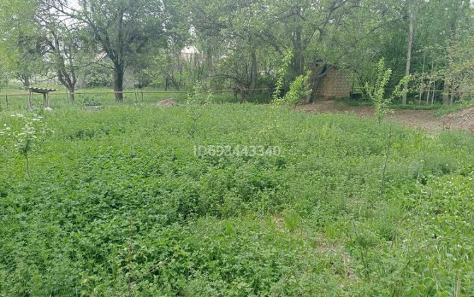 4-комнатный дом, 80 м², 600 сот., ЖМ Сайрам, Саяжай 215 - Сайрам су Шымкент - изображение 4