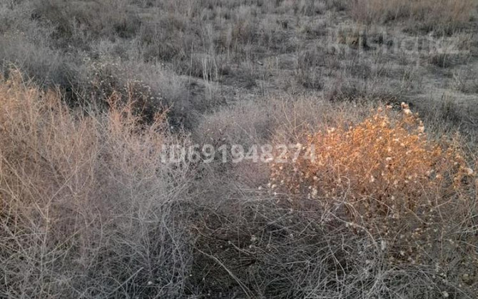 5-комнатный дом, 180 м², , Бесарык Kyzylorda - photo 2