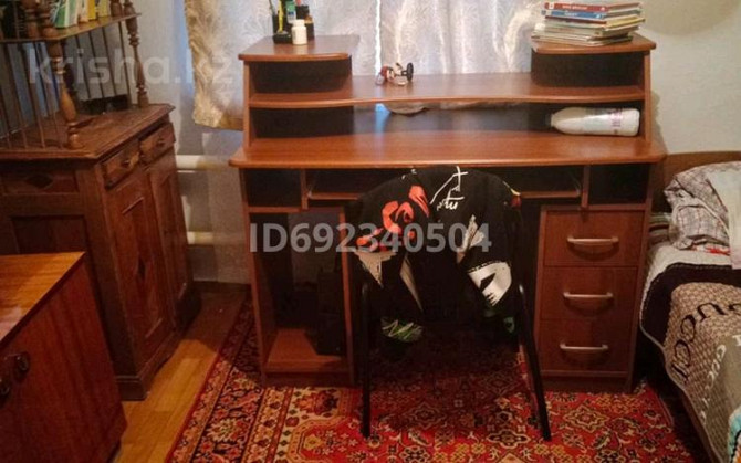 4-комнатный дом, 58.5 м², 58.8 сот., Казахстанская 73  - photo 4