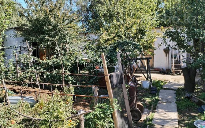 6-комнатный дом, 170 м², 8 сот., Барыс 3 Тараз - изображение 5
