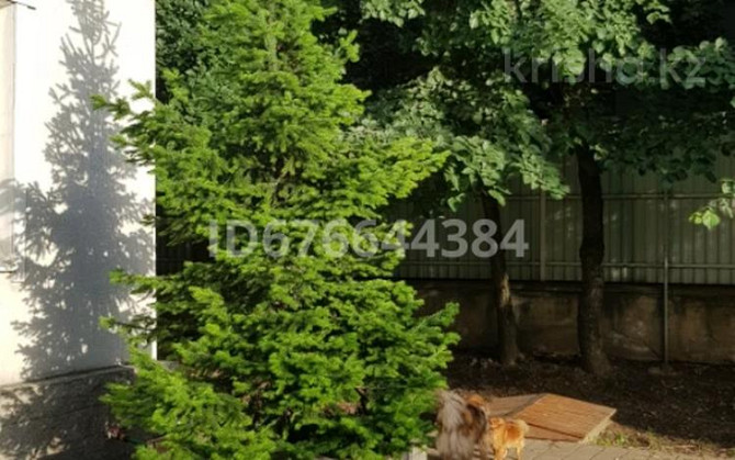 6-комнатный дом, 239 м², 6.6 сот., Умурзакова Алматы - изображение 2