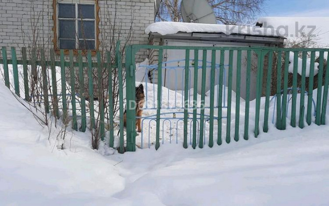 3-комнатный дом, 60 м², 8 сот., Усть-Таловка, Астафьева 15/1 - Вокзальная  - изображение 5