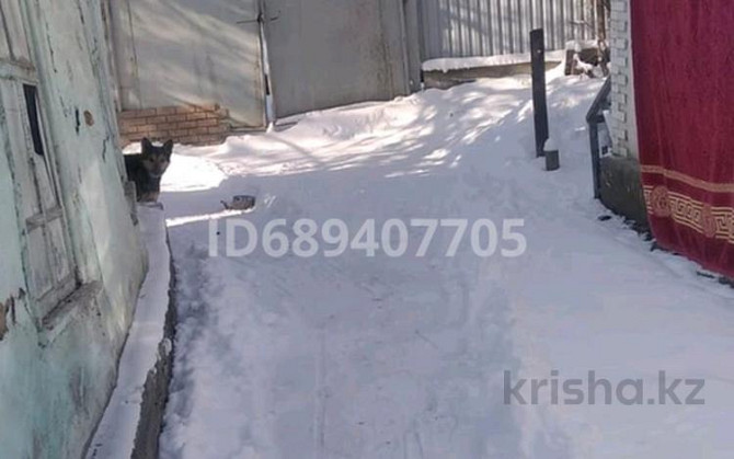 3-комнатный дом, 44.6 м², 11.9 сот., Суворова 66 - Район спирдзавод  - изображение 5